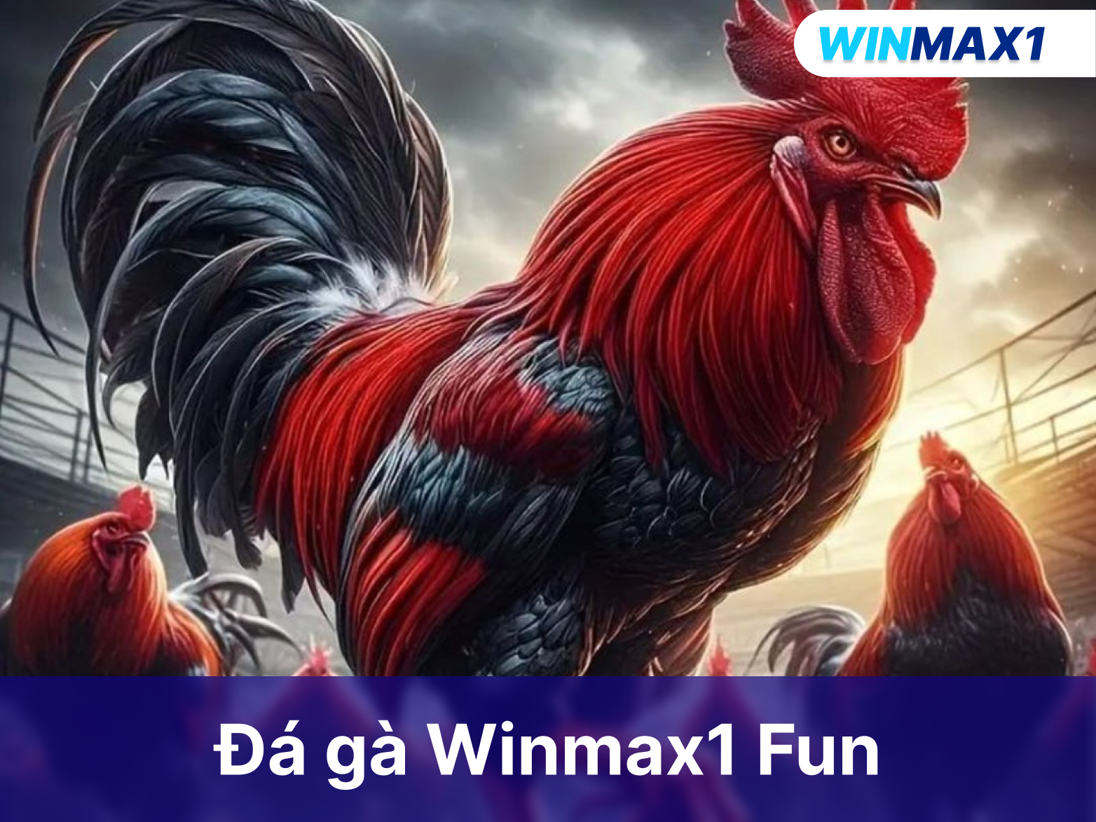 Đá gà Winmax1 Fun